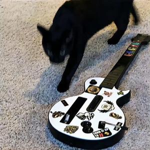 陵儿响叮当头像