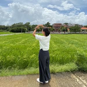 湛江农科生态园小马头像