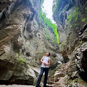 辣椒双皮奶头像