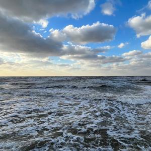 ♠️♣️♥️♦️头像