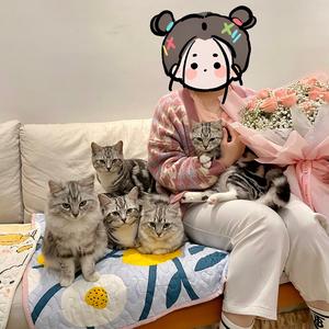 朱茜家的跳跳猫头像