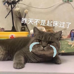 爱摄影的摩的佬📸头像