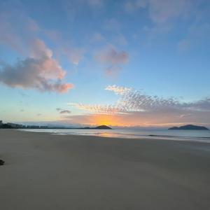 体育野播秋师傅头像