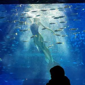 钱多多*爱财爱己💰头像