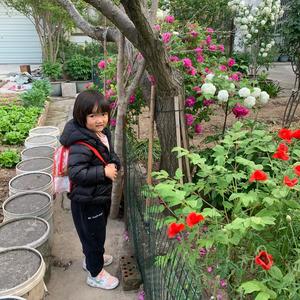 🌈🌈刘亦菲海门分菲🌈🌈头像