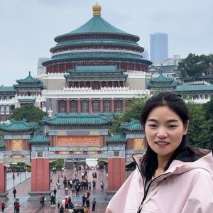 小董的房子头像