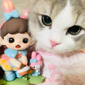 一只小zoraa头像