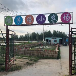 樱子大闸蟹《涟水新世纪菜场店》头像