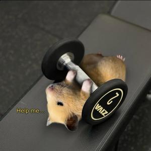 我不叫土豆头像