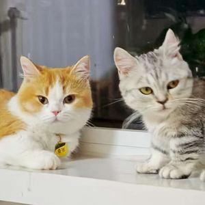 千张·六万头像