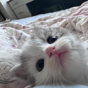 年年大王🍓头像