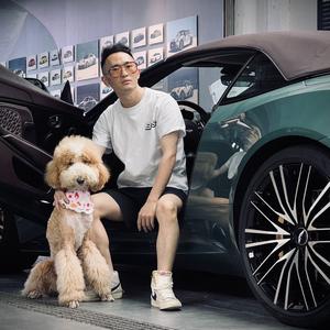 会贴膜的四个DAM头像