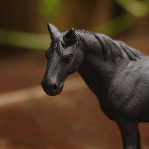 知壶 云涛淘壶头像