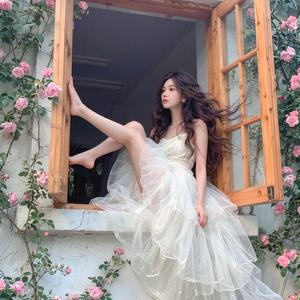 起点点（多乐掼蛋）头像