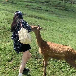 依依的旅行日记头像