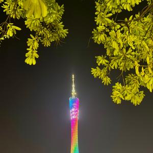 摄影狮 Savage头像