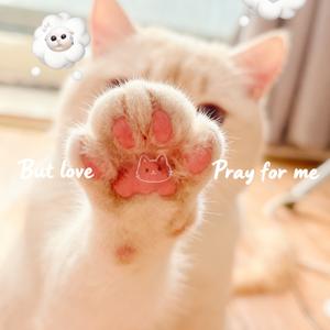 年糕爱黏人头像