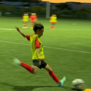 🌈seven&eleven头像