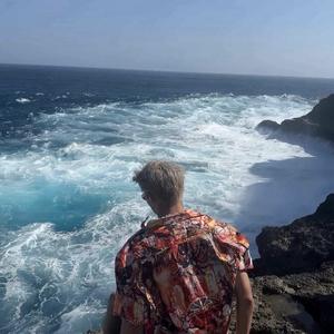 🌈猪猪🐷🐷🐷头像