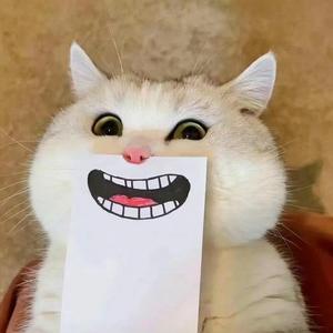 钱真好郑女士头像