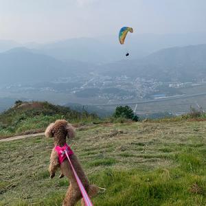 黄冈滑翔伞-麻城观天山/龙王尖头像