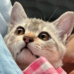 自律的小雨头像