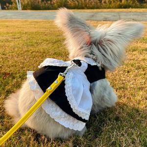 CLOUD英系熊版安哥拉兔头像