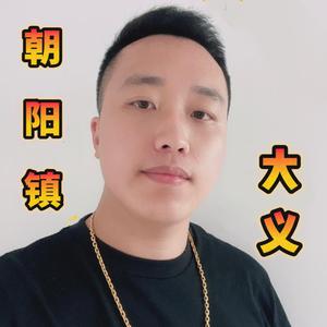 朝阳镇大义名品头像