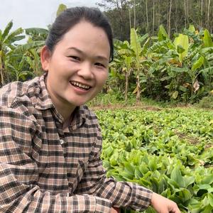 种沙姜的娟姐头像