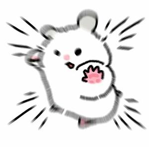 饼饼圈头像