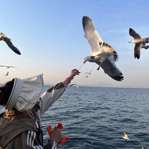 🌈安安🐾头像