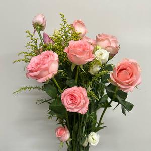 橘子的橘子头像