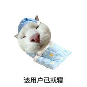 贪睡的小胖28头像