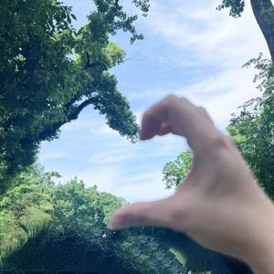 ♌小狮子🦁（徐徐）头像