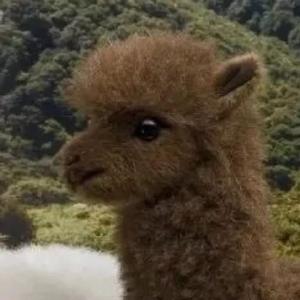 荔湾仔KAIMEN头像