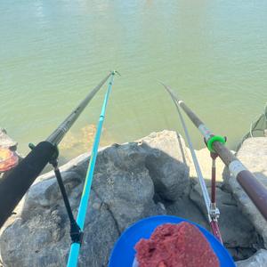 郁江野钓空军大师刘xx头像