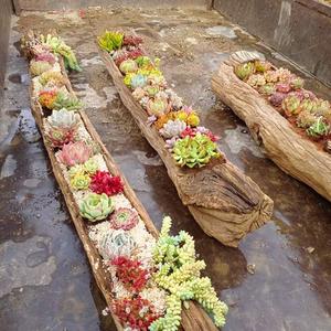 丽江小和—线收购农村老物件头像