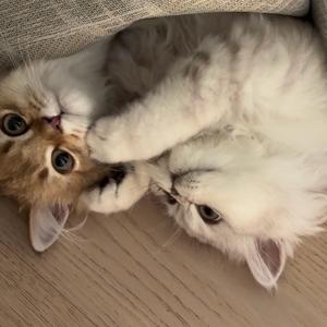 金银满屋🌈9100头像