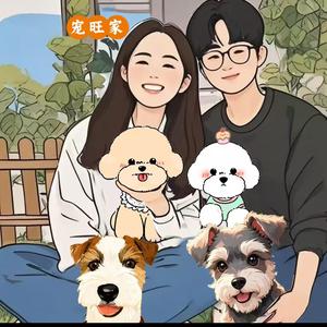 宠旺家(山东泰迪比熊）头像