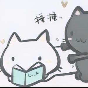 Yin的二次方头像