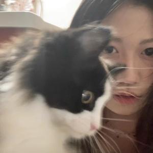 JinHit炸蔬菜店ᴮᵀˢ头像