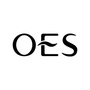OES昊雅专卖店头像