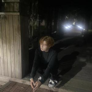 半斤地瓜烧头像