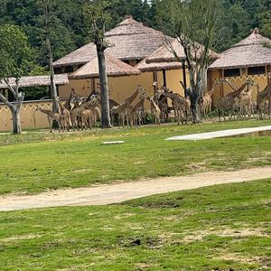 好物分享大全头像