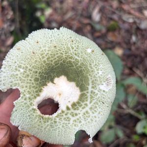 户外探险 荒野求生 小俊头像