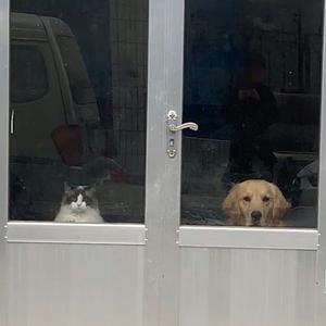 Double与发财财～头像