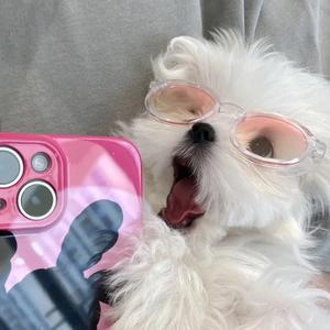 bibi啵啵⚡️头像