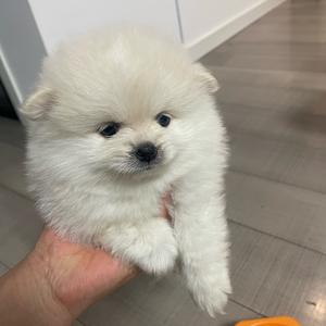 豆卷的快乐时光头像