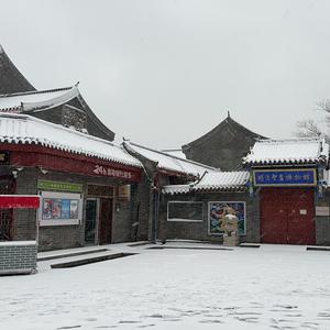 炭烤小肥杨头像