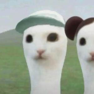 枝雨（见过穆祉丞版头像